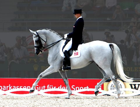 Andreas and Blue Hors Matine